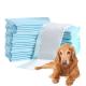CE ISO Certified Urine Absorbent Pads for Dogs 600X350mm 600X450mm 600X600mm 900X600mm