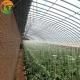 Environmentally Friendly Solar Agricultural Greenhouse with Greenhouse Benches