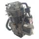 250CC DAYANG Motorcycle Engine Single Cylinder 4 Stroke Wolf water-cooled CDI Ignition