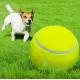 9.5Inflatable Rubber extra large tennis ball for dogs traning Outdoor