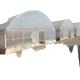 Galvanized Steel Single-span Tunnel Greenhouse for Growing Vegetables Fruits Flowers