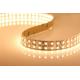 240LEDs/m 3528 LED Strip 24V double Lines 15mm Wide