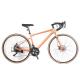 Hot Selling Men And Women Good Quality Single Speed 700C Bicycle Mountain Bike