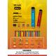 2600 Puffs Type C Rechargeable Mesh Coil Disposable Vape Pen