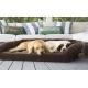 Luxury Suede Memory Foam Orthopedic Dog Bed , Non - Slip Bottom Orthopedic Egg Crate Dog Bed