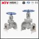 ANSI 300lb DN15-DN600 Stainless Steel Flange Ends Globe Valves for Customized Request