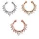 New Arrival Alloy Hoop Nose Ring Nose Piercing Fake Piercing Septum Clicker Numbers Hanger For Jewelry