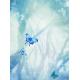 Elegant light blue / dark blue / green / yellow / pink /butterfly wall decoration painting