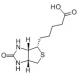 D-Biotin vitamin H vitamin B7 CAS NO.58-85-5 C10H16N2O3S
