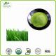 High Quality Barley Grass Powder