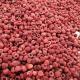 IQF Frozen Whole Raspberry In Bulk Packing 10kgs / 12.5kgs / 4x2.5kgs