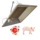 Adjustable Infrared Brooder Heater Low Consumption Fire Poultry Farming Heater