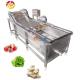 Industrial Food Vegetable Washing Machine with 600 KG Capacity and Air Bubble System