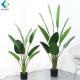 Palm Banana Artificial Bonsai Plants 5-10 Years Life Time Customized Design