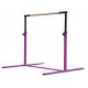 Steel Material Gymnastics Equipment Bars / High Bar Gymnastics Equipment For Home