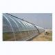 Drawing Solar Greenhouse Kit 4-6M Height With Galvanized Steel Frame