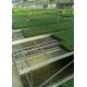 Large Wire Greenhouse Grow Beds And Tables / Garden Center Tables
