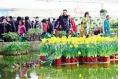 Cangzhou city   s second flowers exhibition for Spring   s coming