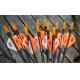 Customized Logo Printed Carbon Arrow, Arrows with Logo Printed,hunting and
