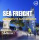 Shenzhen To  San Salvador International Ocean Logistics Via ACAJUTLA