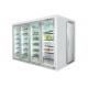 Corrosion Resistant Supermarket Display Freezer Environmental Protection