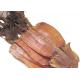 Iso Semi Dried Squid  Todarodes , Pacificus Dried Squid Wr For Dishes