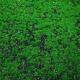 Indoor Cloth Artificial Moss Mat 100*100cm Landscape Fake Green Grass Wall