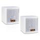 Mini Dual 5 Inch Conference Room Audio System Loudspeaker Box with White Paint