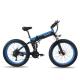 High quality cheap custom trikes electric mountain bike folding bicycle
