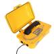 IP67 Moisture Resistant Industrial Weatherproof Telephone With Flashing Lamp And Horn