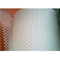 30x30mm White Flat Hdpe 500g/M2 Per Sqm Plastic Netting Mesh