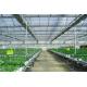 Plastic Film Automated Hydroponic Greenhouse Hanging Load 0.15KN/M2 Rainfall 140mm/h