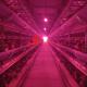 Industrial-Grade 6-Tier Layer Chicken Cage System Durability