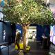 4m Height Artificial Fruit Tree , Fake Apple Tree For Clothing Store Mall Decor