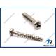 Stainless Steel Pan Head Tri Wing Tamper Proof Tapping Screws for Plastics
