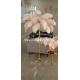 5*E14 Pink Feather Standing Lamp Ornamental Floor Lamps 110V