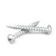 Torx Drive Stainless Steel304 Coated Deck Ground Screw for Wooden Ceiling Partition