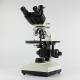 Upright Compound Stereo Binocular Microscope Use In Laboratories And Biology