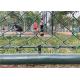 ISO Green PVC Coated Rapid Mesh Temporary Fencing 4.0mm 60x60mm For Garden