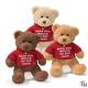 Personalized Plush Toys Three Brown Family Teddy Bear With T shirt