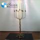 7 Arms Metal Candle Candelabra For Fireplace Elegant Gold Plated 138CM
