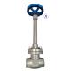 SW SS304 Cryogenic Globe Valve for LNG/LCO2/LN2