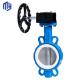 Electric Flanged Wafer Butterfly Valves and Fitting Customized Support for Water Media