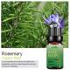 20ml Pure Natural Essential Oils Fragrance Included Leaves Raw Material
