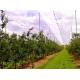 Hdpe Raschel Knitted Anti Hail Nets / Hail Protection Net For Fruit Tree