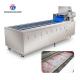 240KG Washing machine Fruit and vegetable washing machine vegetable cleaning equipment product cleaning equipment