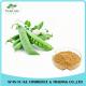 Hot Selling Nutritional Superstar Product Garden Pea Extract