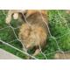 AISI316L Soft Zoo Wire Mesh Net , Ferruled / Knotted Wire Mesh Fence For Animals