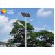 High Lumen Integrated Street Light 15w - 60w  With Seperated Solar Panel