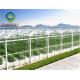 Clear 10.8m Commercial Glass Greenhouse For Cucumbers